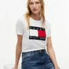 Big Flag Logo T-Shirt