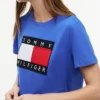 Big Flag Logo T-Shirt Big Flag Logo T-Shirt