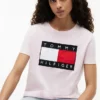 Big Flag Logo T-Shirt Big Flag Logo T-Shirt