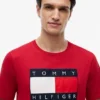 Big Flag Logo T-Shirt Big Flag Logo T-Shirt
