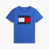 Big Flag Logo T-Shirt Big Flag Logo T-Shirt