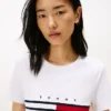 Embroidered Flag Stripe Logo T-Shirt Embroidered Flag Stripe Logo T-Shirt
