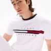 Embroidered Flag Stripe Logo T-Shirt