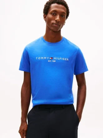 Embroidered Tommy Logo T-Shirt