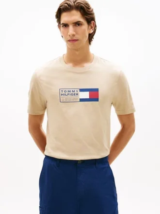 Flag Box Logo T-Shirt