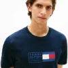 Flag Box Logo T-Shirt
