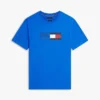 Flag Box Logo T-Shirt