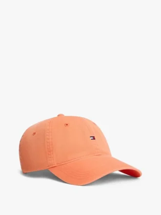 Flag Logo Baseball Cap