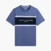 Hilfiger Block Stripe Logo T-Shirt