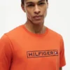 Hilfiger Box Logo T-Shirt