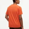 Hilfiger Box Logo T-Shirt