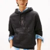 Hilfiger Crest Logo Heathered Hoodie