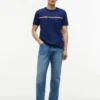 Hilfiger Signature Stripe Logo T-Shirt