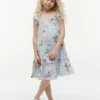 Kids’ Floral Print Ruffle Dress