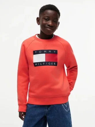 Kids’ Tommy Flag Logo Raglan Sweatshirt