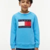 Kids’ Tommy Flag Logo Raglan Sweatshirt