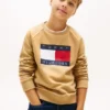 Kids’ Tommy Flag Logo Raglan Sweatshirt