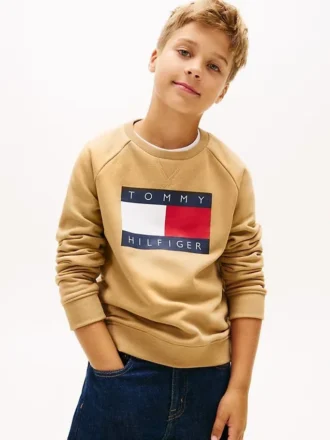 Kids’ Tommy Flag Logo Raglan Sweatshirt