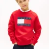 Kids’ Tommy Flag Logo Raglan Sweatshirt