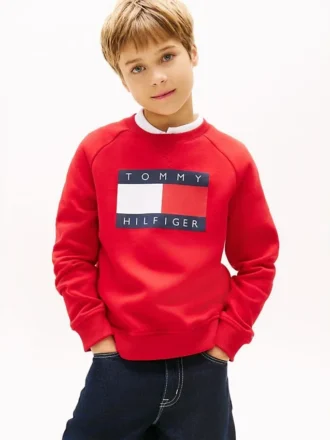 Kids’ Tommy Flag Logo Raglan Sweatshirt