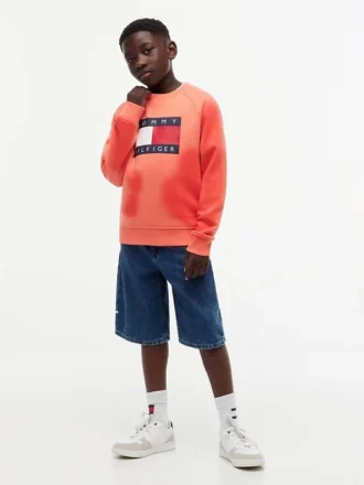 Kids’ Tommy Flag Logo Raglan Sweatshirt