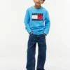 Kids’ Tommy Flag Logo Raglan Sweatshirt