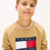 Kids’ Tommy Flag Logo Raglan Sweatshirt