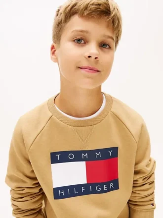 Kids’ Tommy Flag Logo Raglan Sweatshirt