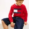Kids’ Tommy Flag Logo Raglan Sweatshirt