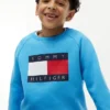 Kids’ Tommy Flag Logo Raglan Sweatshirt