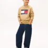 Kids’ Tommy Flag Logo Raglan Sweatshirt