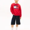 Kids’ Tommy Flag Logo Raglan Sweatshirt
