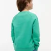 Kids’ Tommy Flag Logo Raglan Sweatshirt