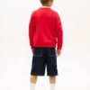 Kids’ Tommy Flag Logo Raglan Sweatshirt