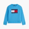 Kids’ Tommy Flag Logo Raglan Sweatshirt