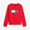 Kids’ Tommy Flag Logo Raglan Sweatshirt
