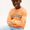 Kids’ Varsity Logo Sweatshirt Kids’ Varsity Logo Sweatshirt