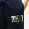 Multicolor Varsity Tommy Logo Sweatpant