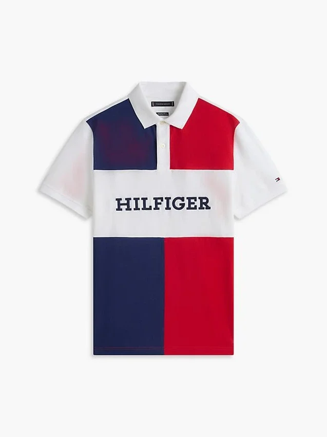 Regular Fit Colorblock Polo Regular Fit Colorblock Polo