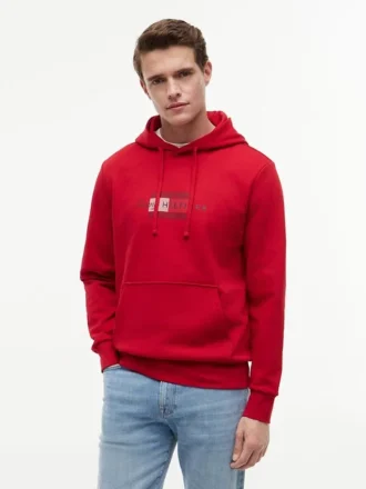 Script Flag Logo Hoodie