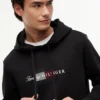 Script Flag Logo Hoodie Script Flag Logo Hoodie