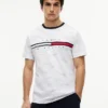 Signature Flag Stripe Logo T-Shirt