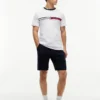 Signature Flag Stripe Logo T-Shirt