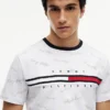 Signature Flag Stripe Logo T-Shirt