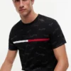 Signature Flag Stripe Logo T-Shirt
