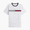 Signature Flag Stripe Logo T-Shirt