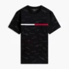 Signature Flag Stripe Logo T-Shirt