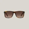 Square Frame Sunglasses
