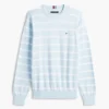 Striped Classic Crewneck Sweater