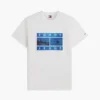 Tommy Jeans Photo Graphic T-Shirt